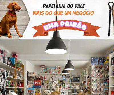 A Papelaria do Vale: Mais do que um Negócio, Uma Paixão